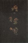 Paul Klee, Herbarium